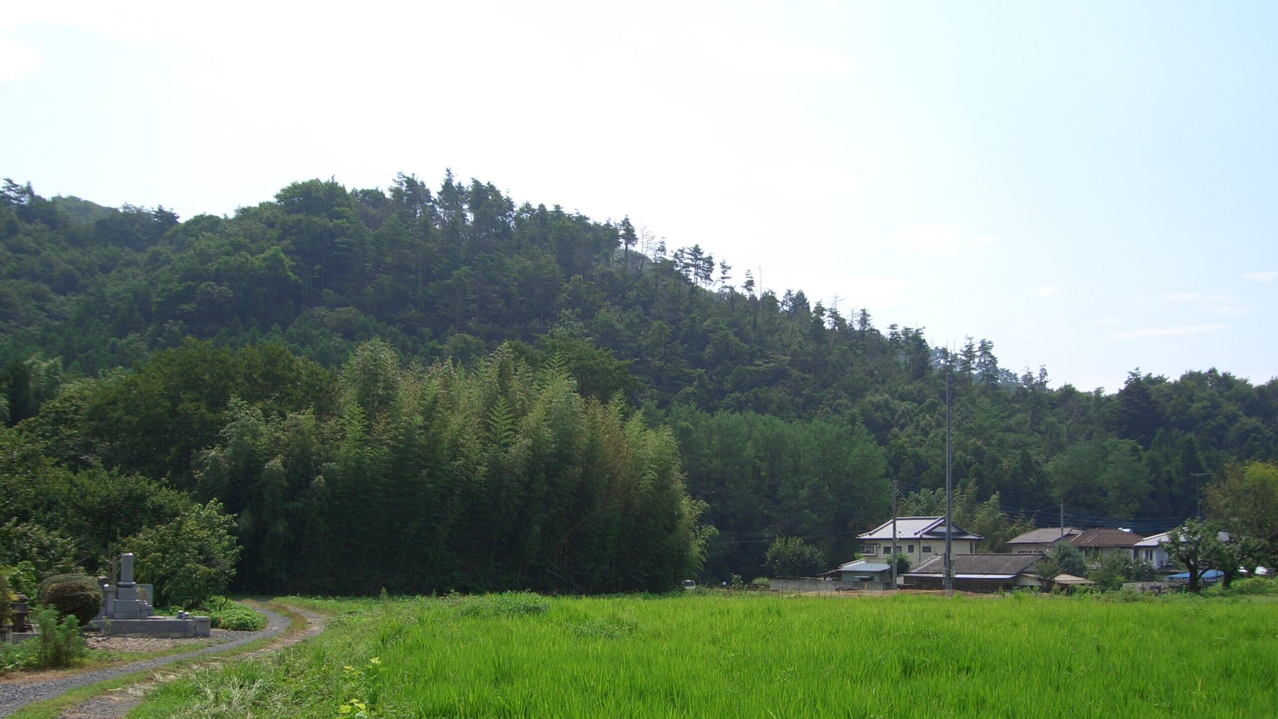 日本の農村
